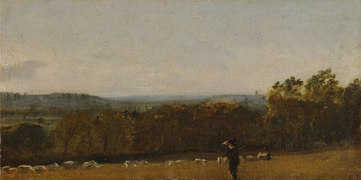 Een Herder in een Landschap kijkend over Dedham Vale richting Langham door John Constable