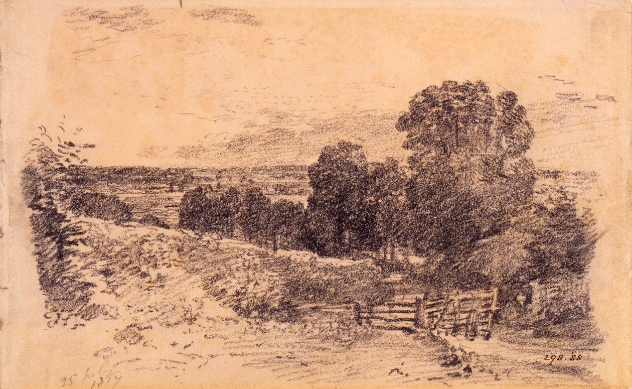 Een laan nabij East Bergholt door John Constable