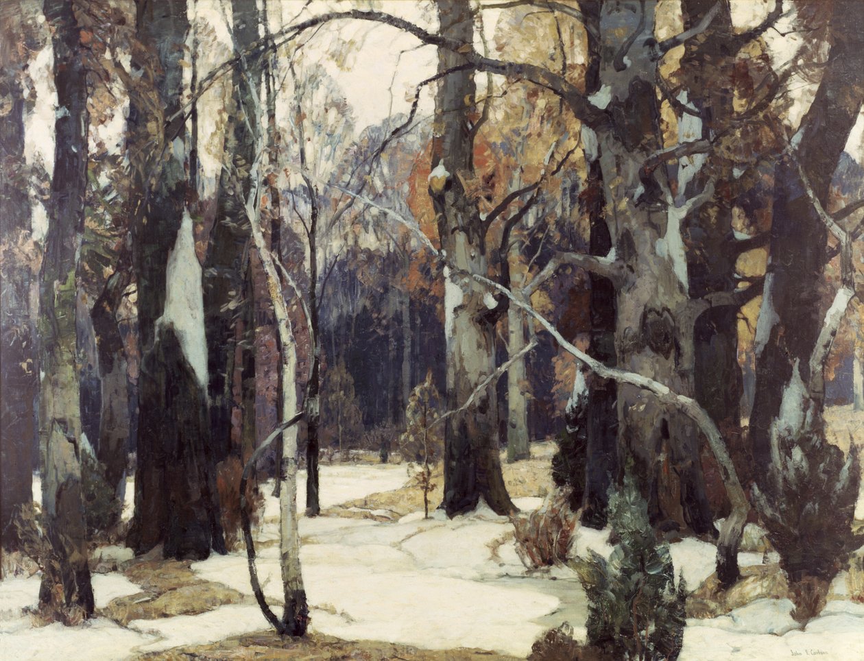 Bosgezichten, ca. 1932 door John Fabian Carlson
