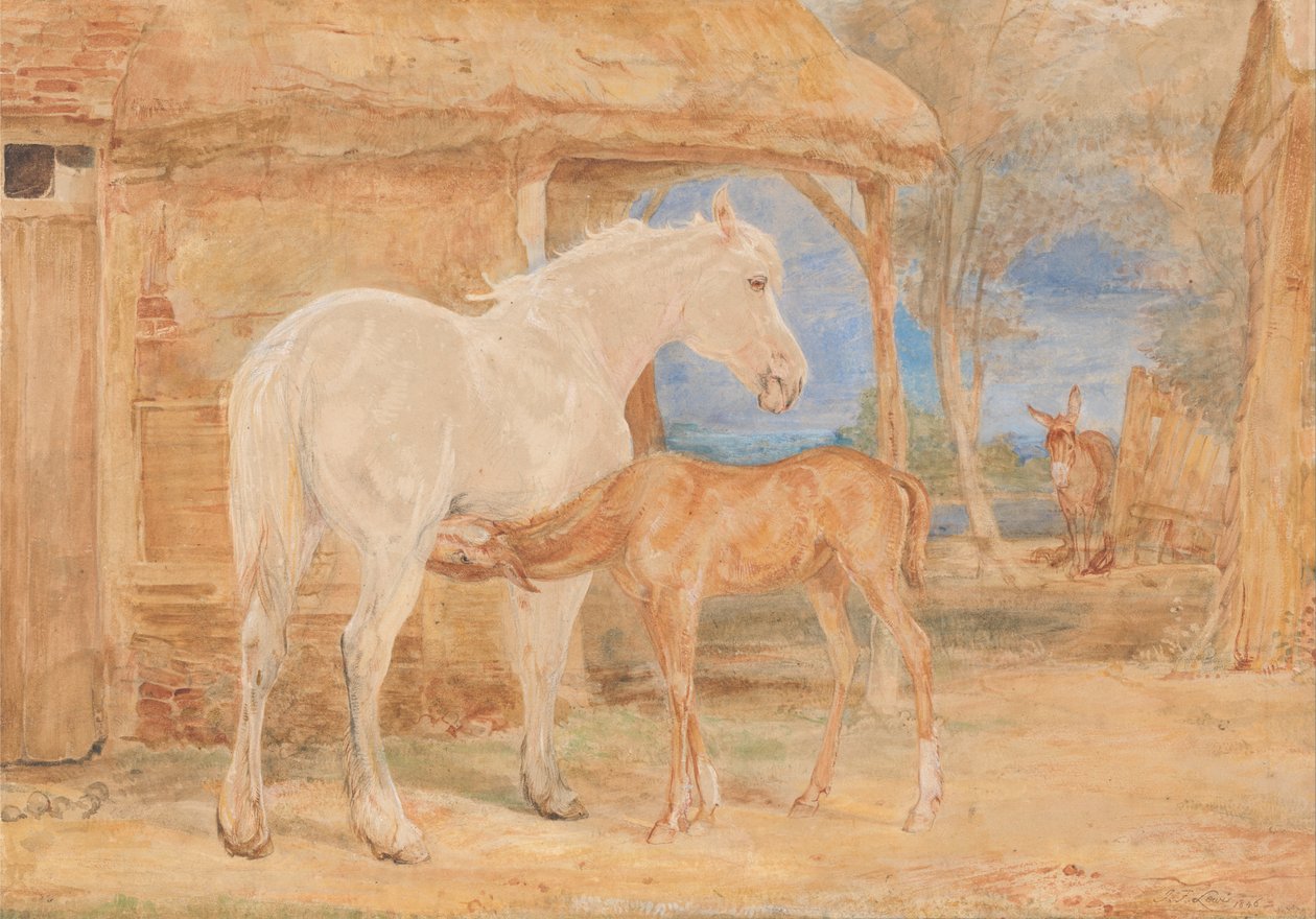 Grijze merrie en een kastanjebruin veulen door John Frederick Lewis