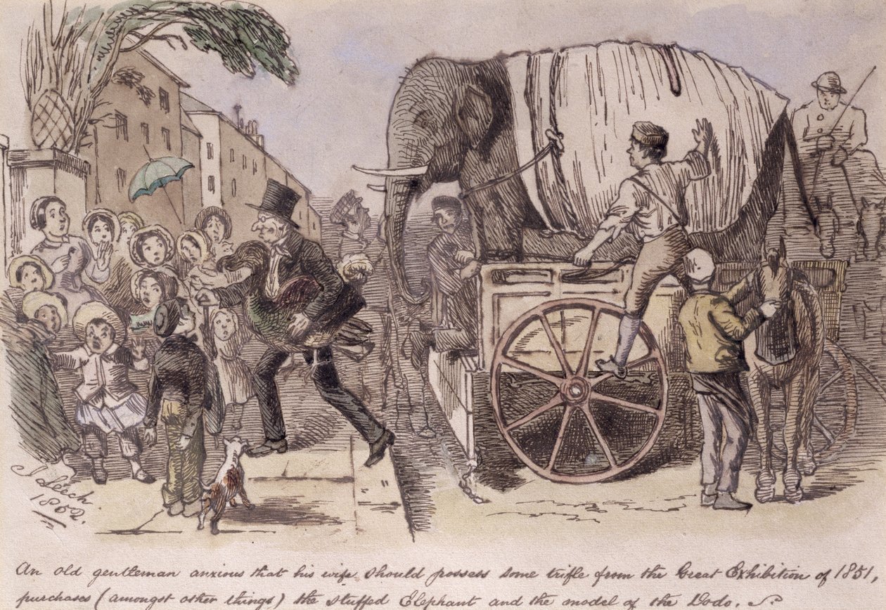 Een oude heer die wil dat zijn vrouw een kleinigheid van de Grote Tentoonstelling van 1851 bezit, koopt (onder andere dingen) de opgezette olifant en het model van de dodo, getekend voor Punch door John Leech