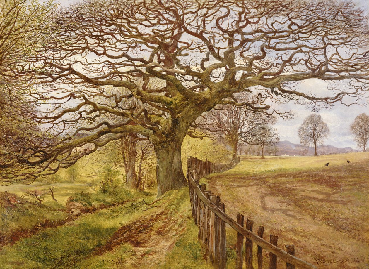 De Boom, 1861 door John Milne Donald
