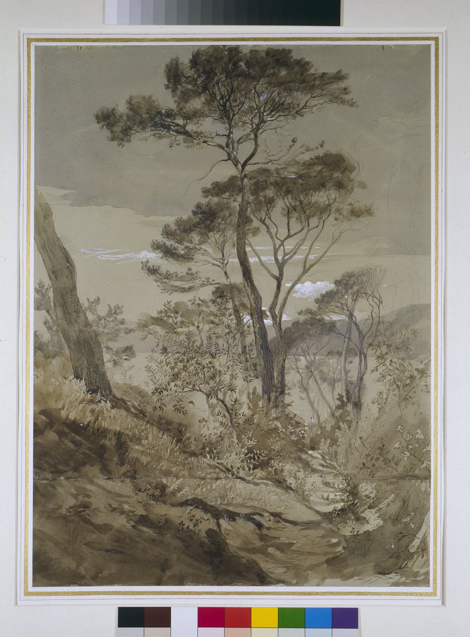 Steeneiken bij Sestri, Golf van Genua, 30 april 1845 door John Ruskin