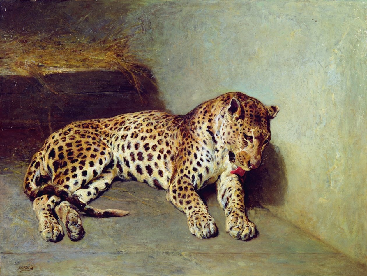 De luipaard door John Sargent Noble
