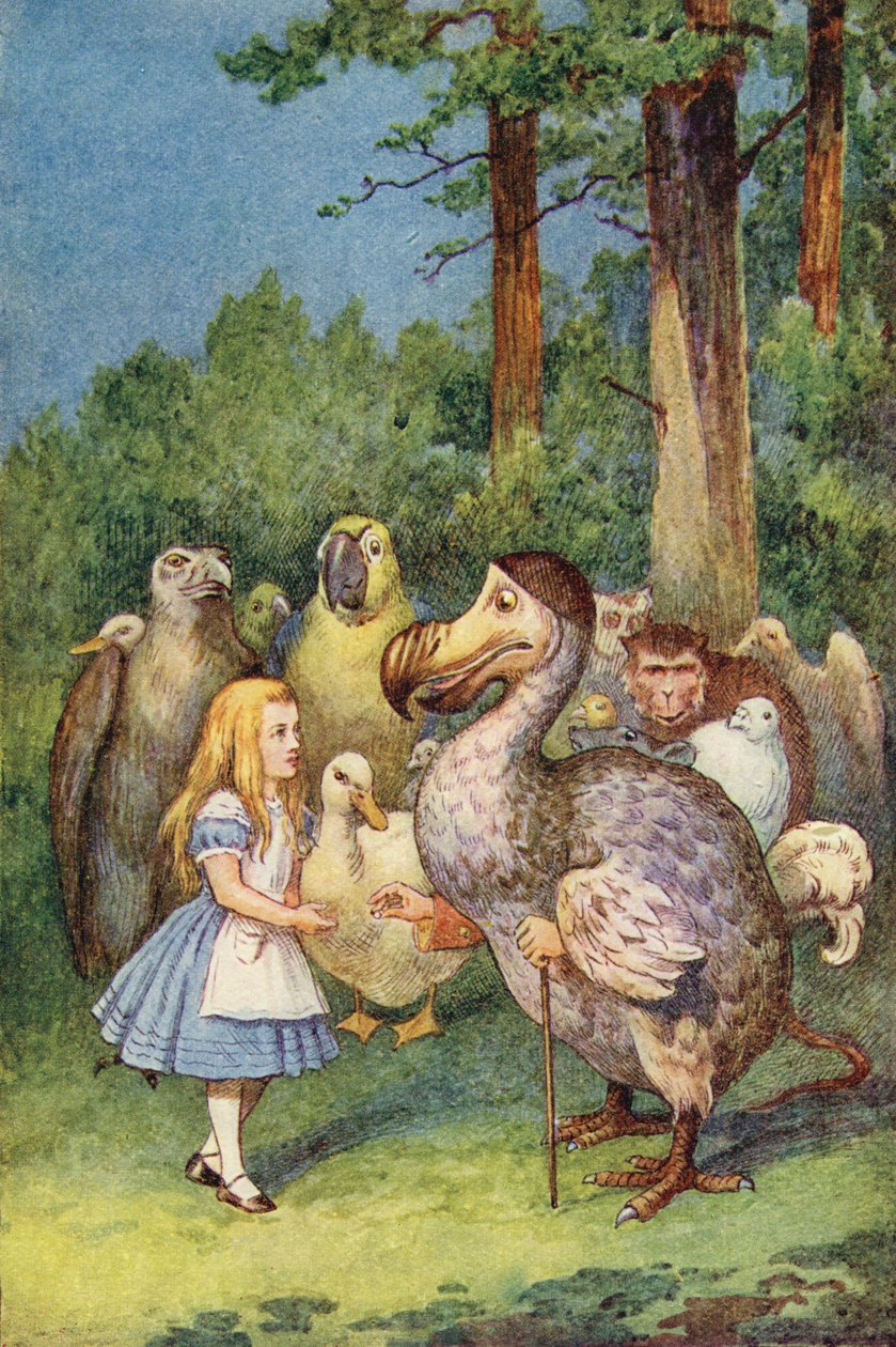 De Dodo presenteert Alice een vingerhoed (kleurgravure) door John Tenniel