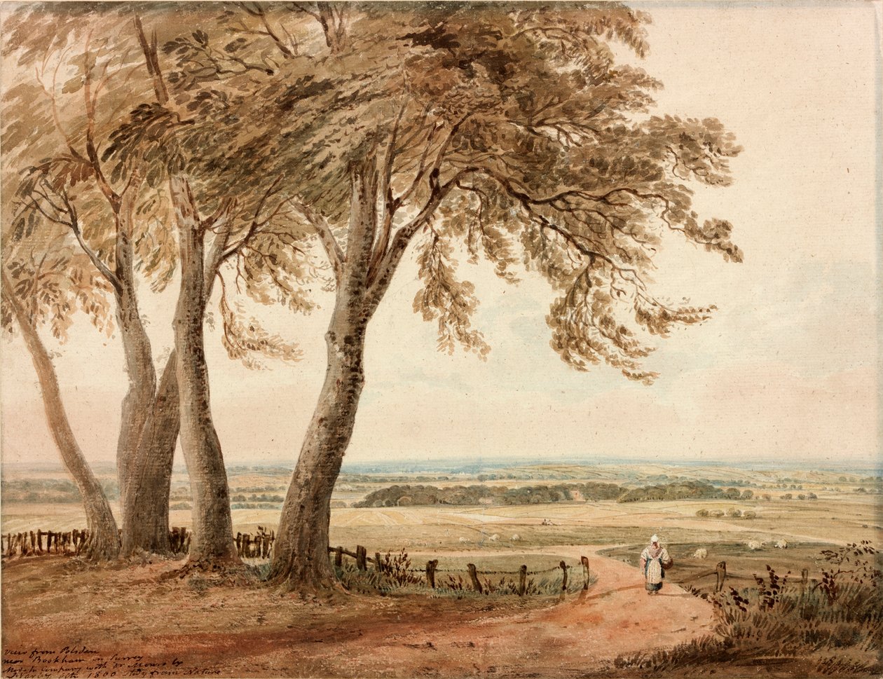 Uitzicht vanaf Polesden, Surrey, 1800 door John Varley