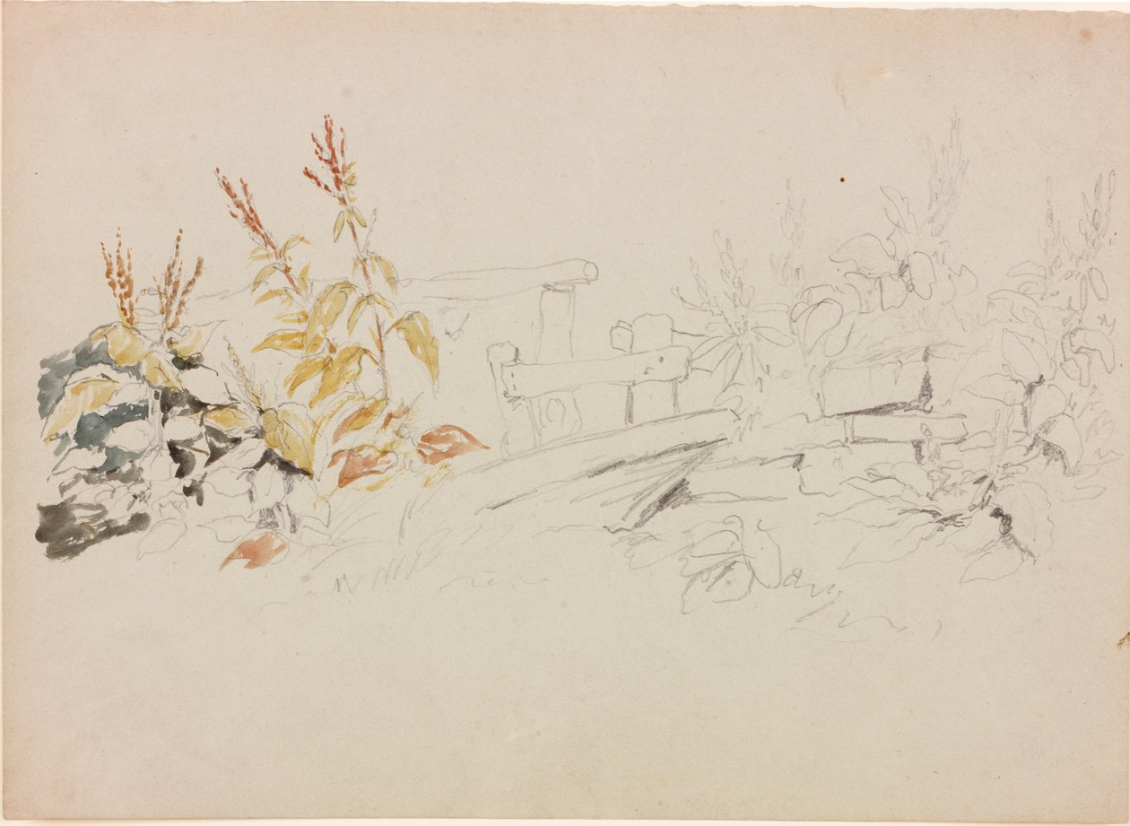 Natuurstudie door John Wilson Carmichael