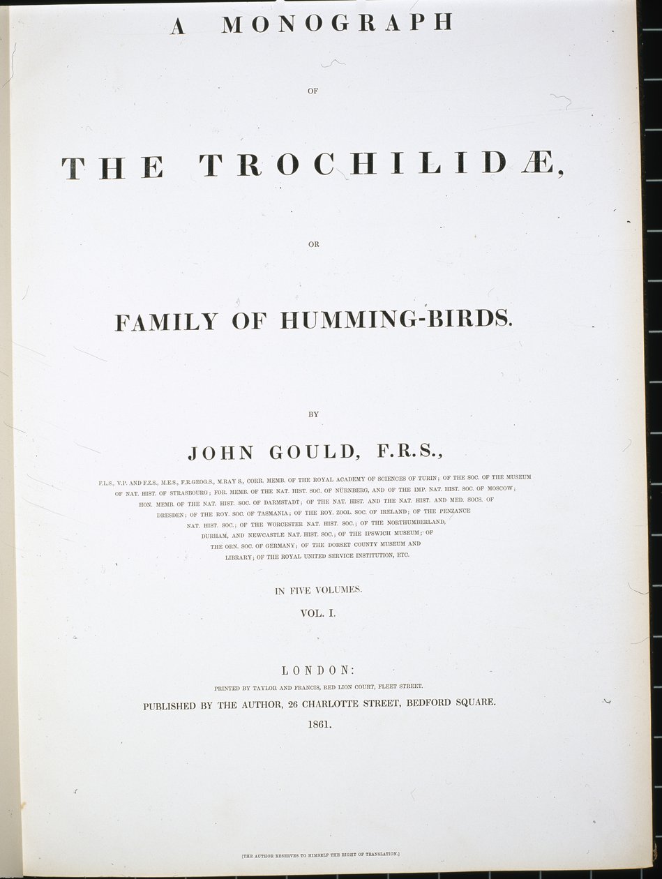 Frontispice door John (after) Gould