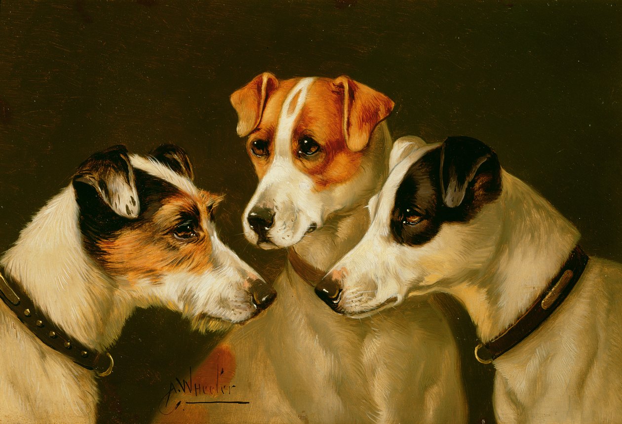 De Honden door John Alfred Wheeler