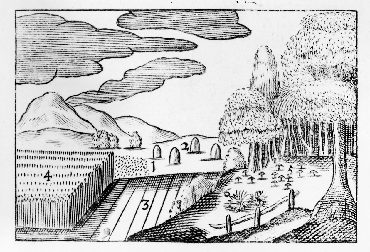 Vruchten van de aarde, 1658 door John Amos Comenius