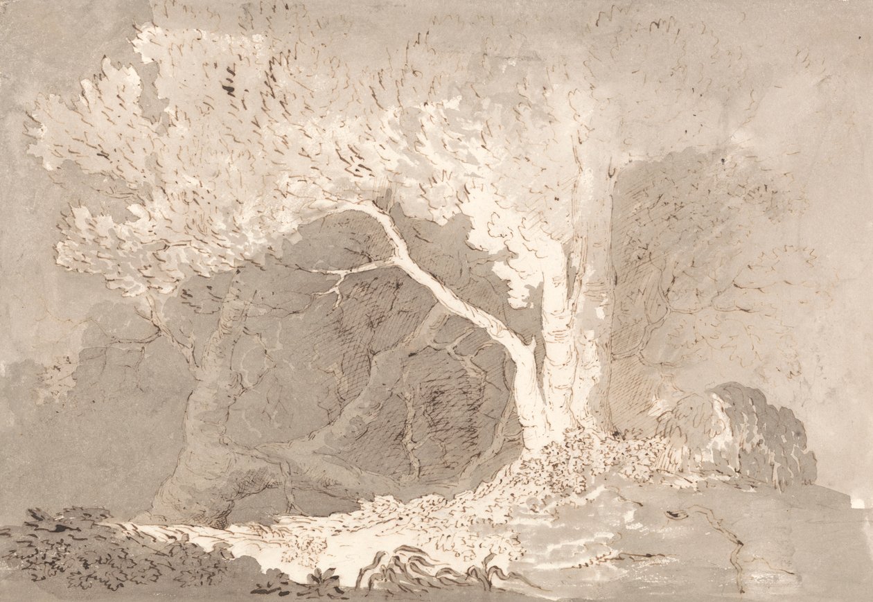 Boomstudie door John Baverstock Knight