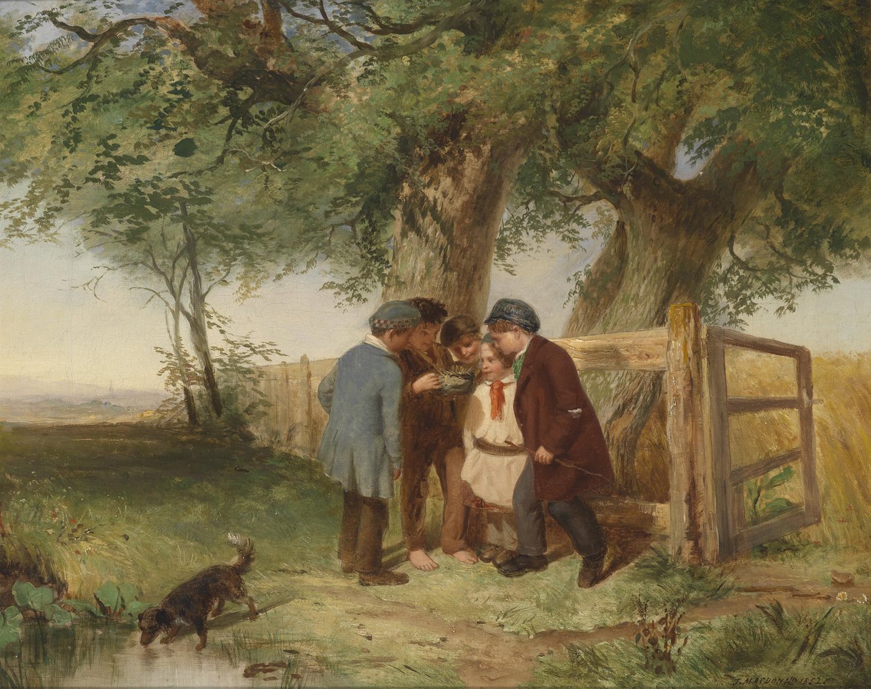 Het vogelnest door John Blake MacDonald