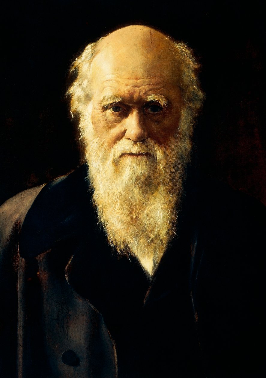 Portret van Charles Darwin door John Collier