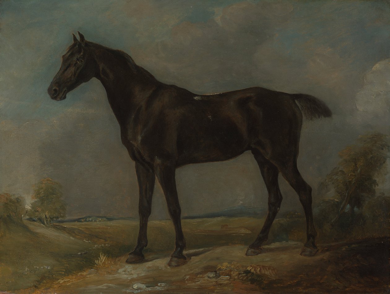 Golding Constable
