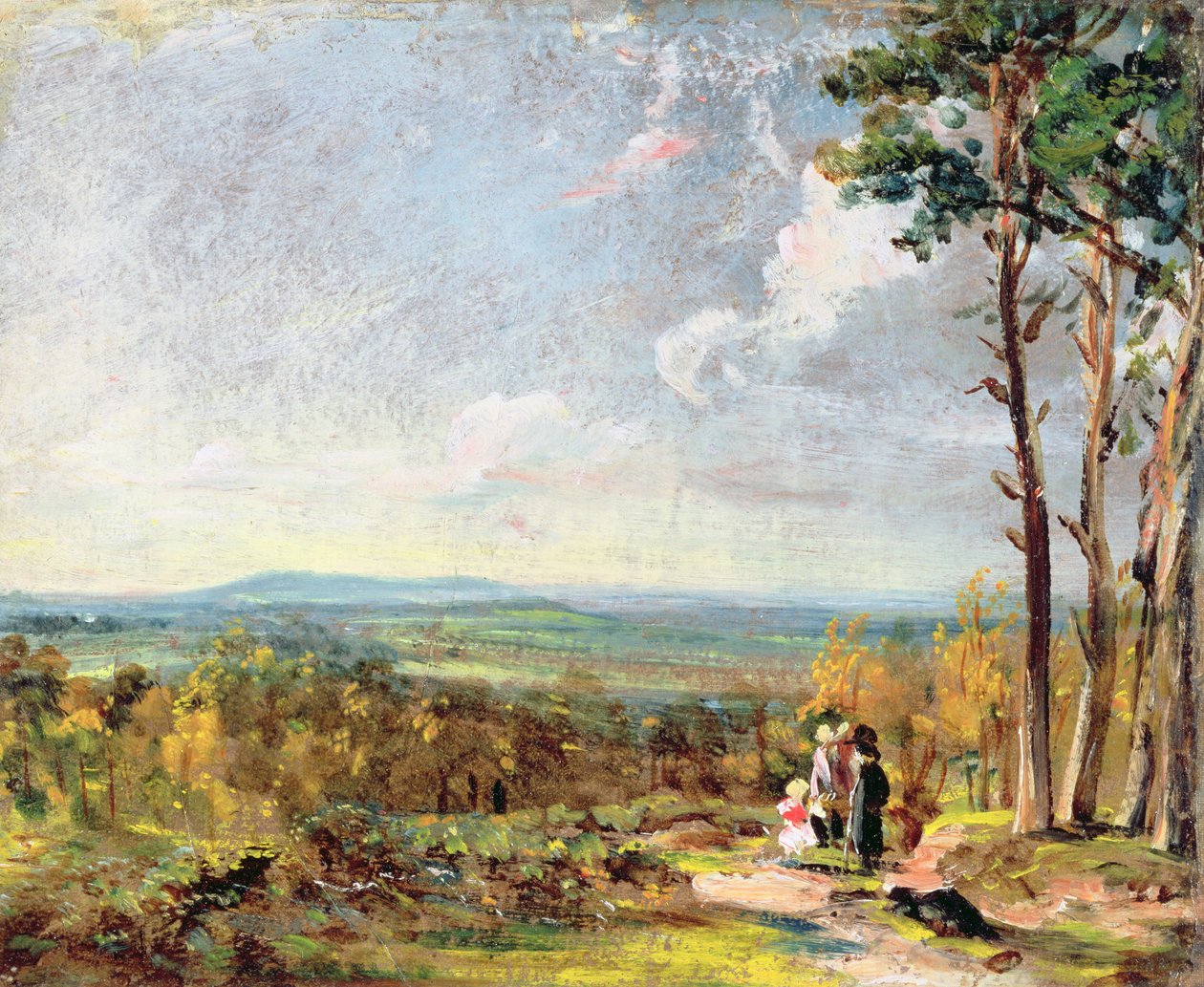 Hampstead Heath Kijkend naar Harrow door John Constable