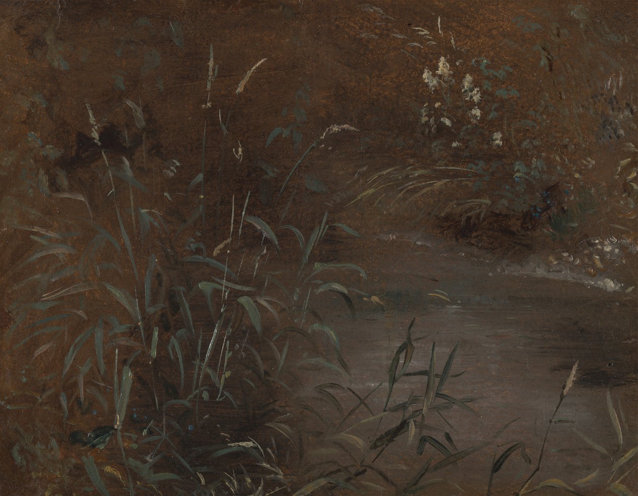Riet bij een Vijver door John Constable