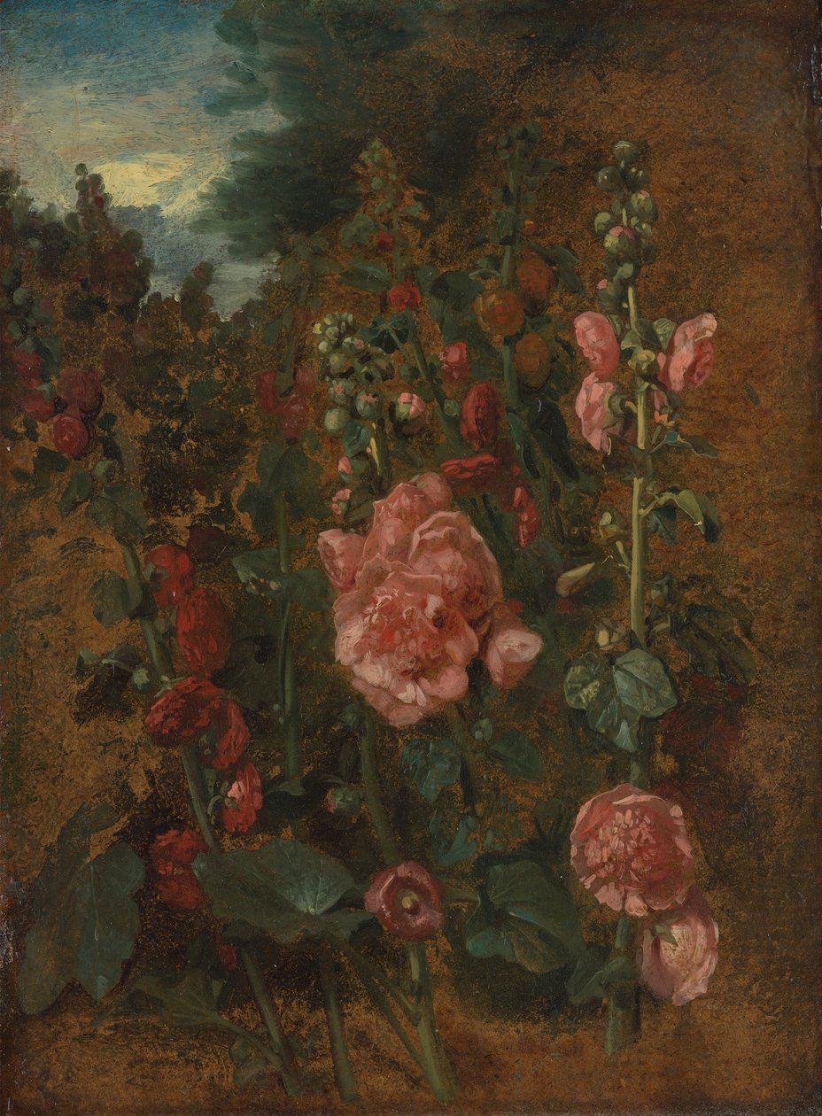 Studie van stokrozen door John Constable