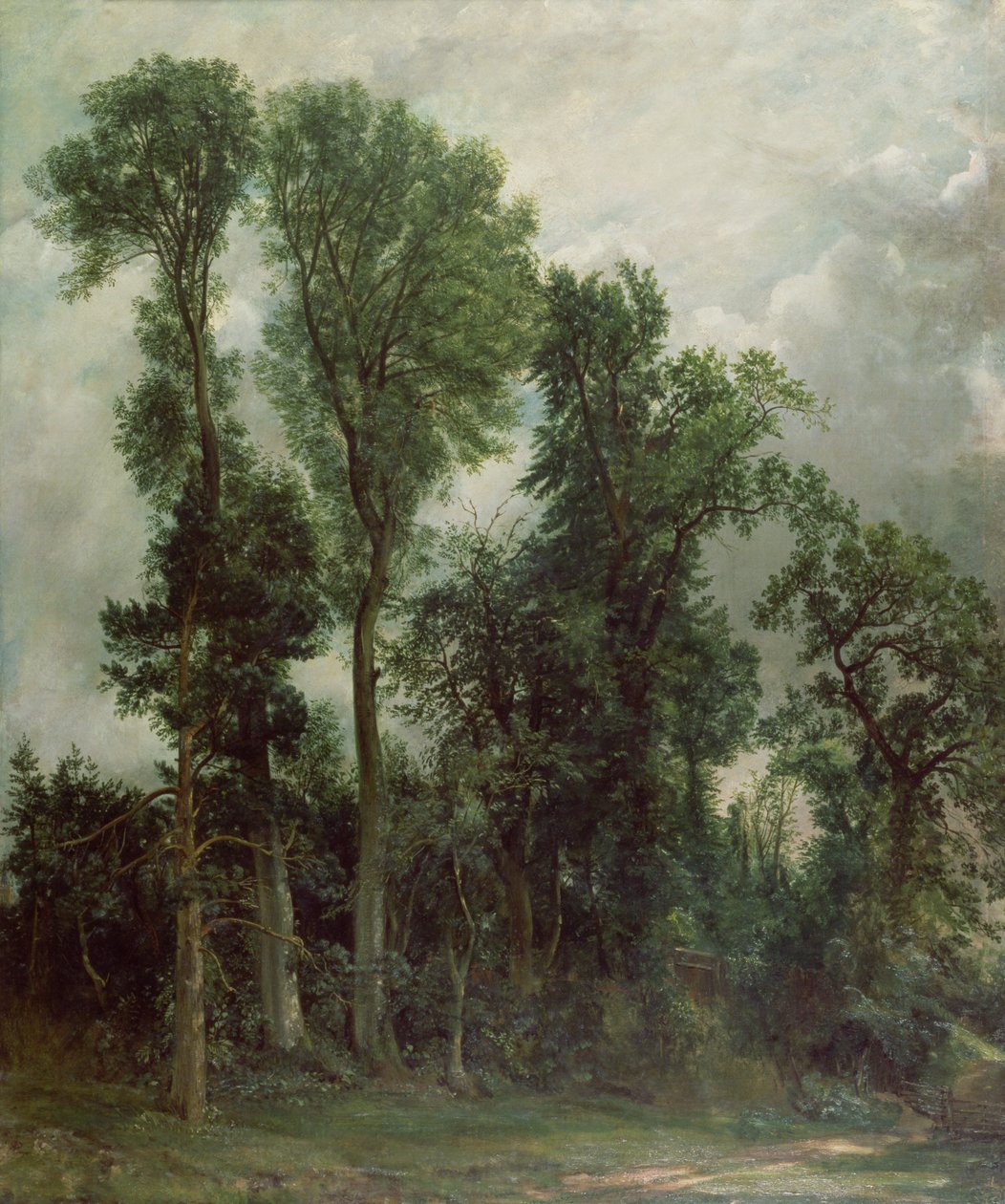 Bomen in Hampstead door John Constable