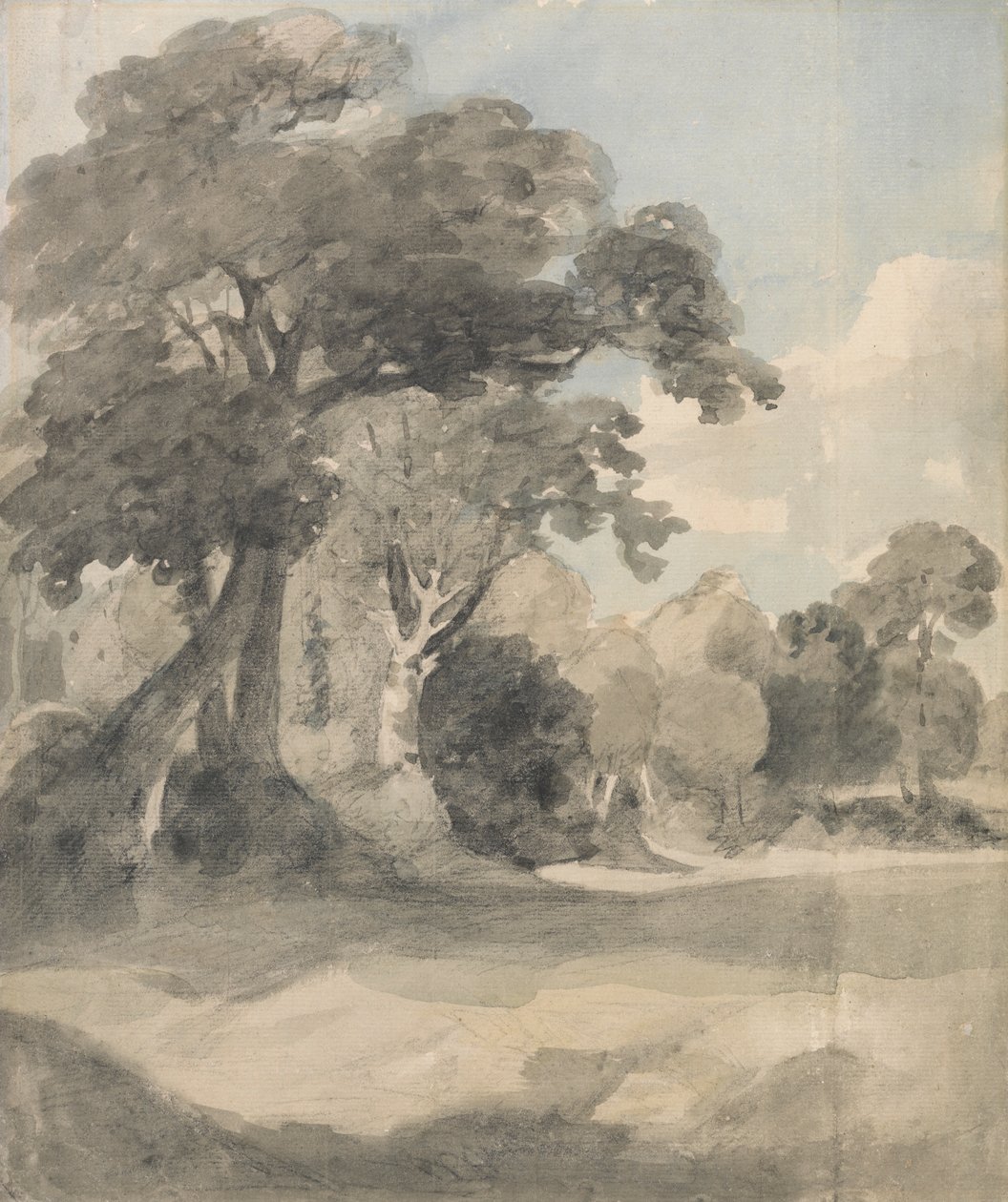 Bomen in een weide door John Constable