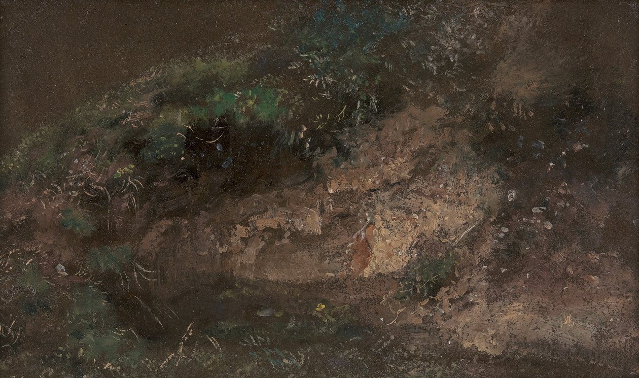 Onderbegroeiing door John Constable