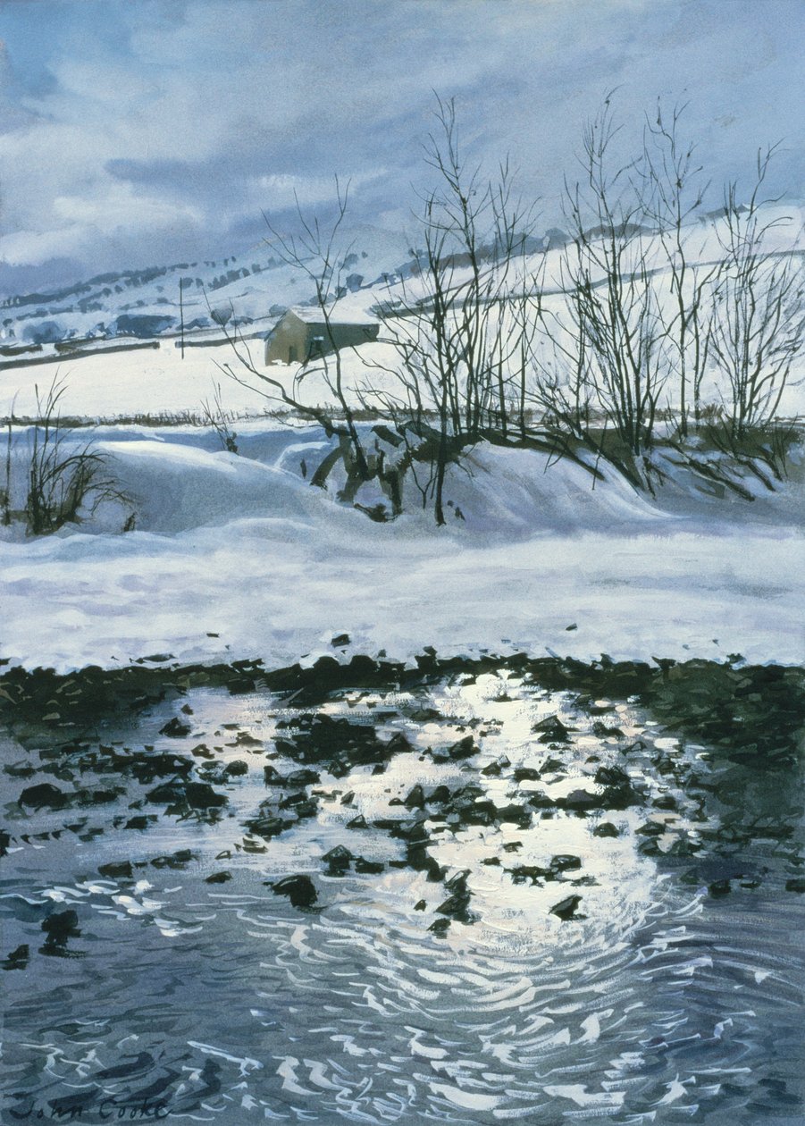 Schuur onder Combescar, 1996 door John Cooke