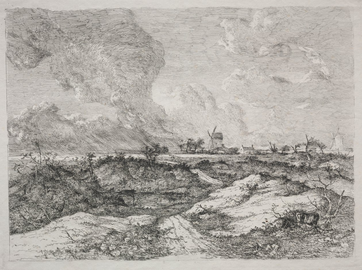 Mousehold Heath door John Crome
