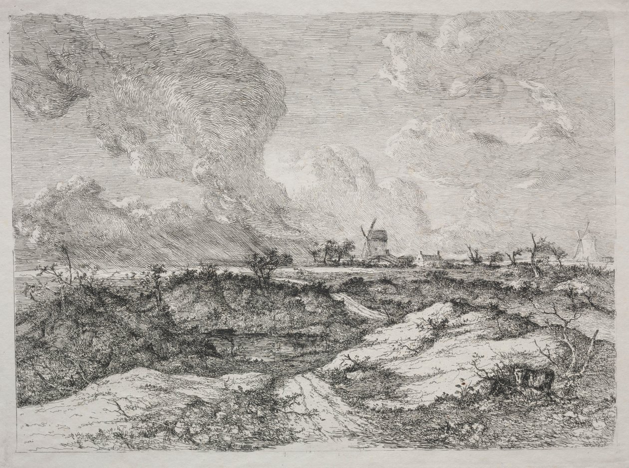 Mousehold Heath, c. 1810-13 door John Crome