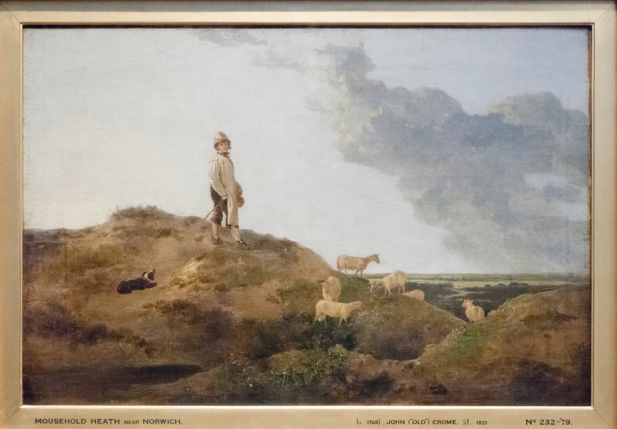 Uitzicht op Mousehold Heath, nabij Norwich door John Crome