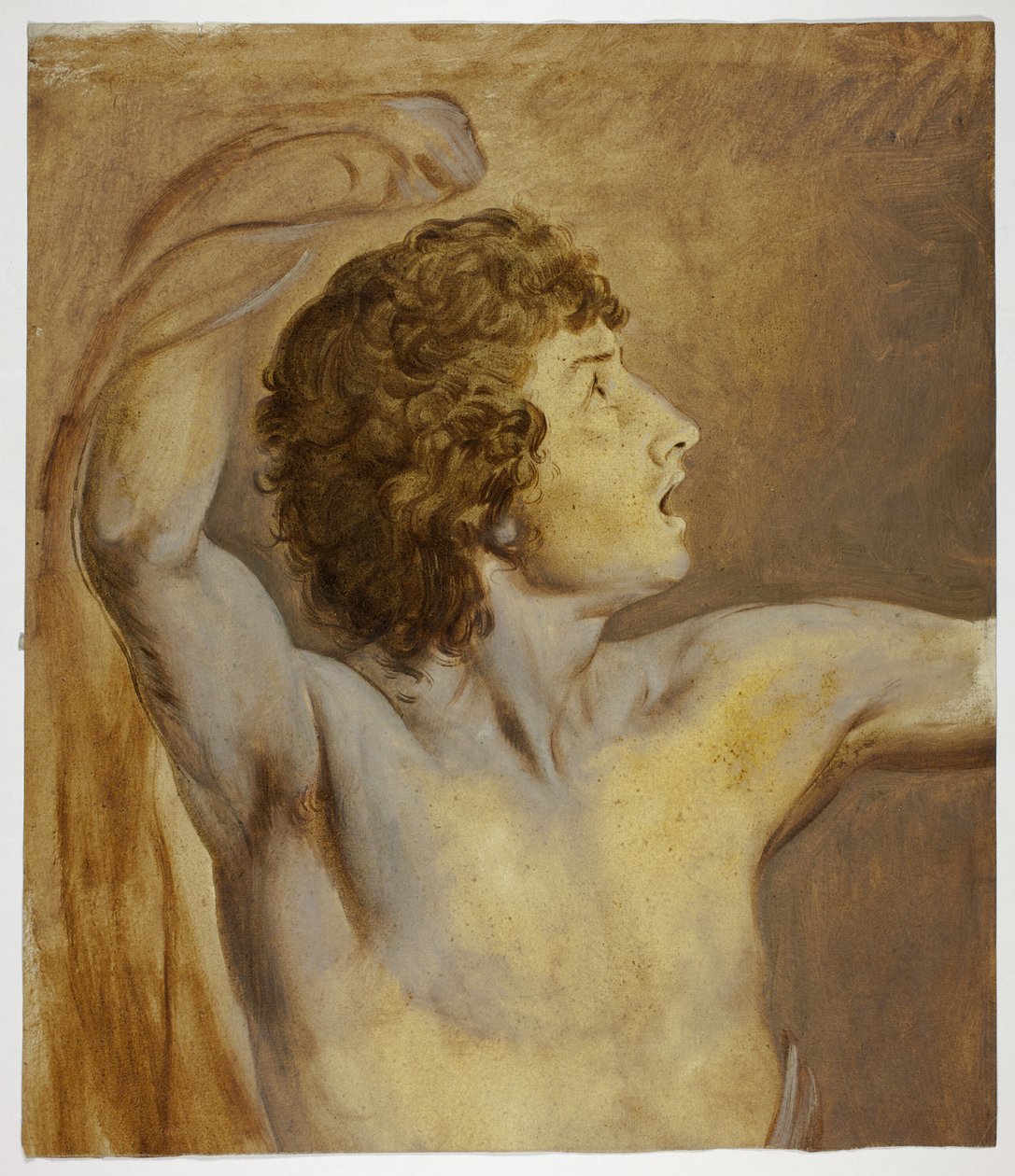 Studie naar de natuur door John Downman