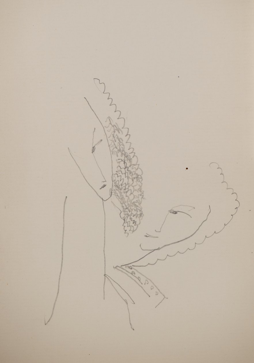 Zonder titel [Twee gezichten] door John Duncan