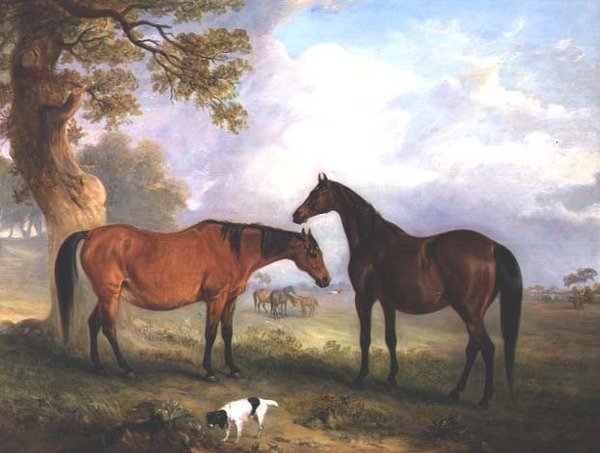 Fokmerries in het gras door John E. Ferneley