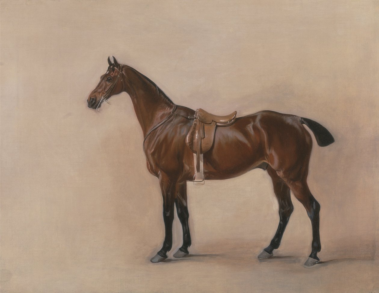 Studie van een gezadelde bruine jager door John E. Ferneley