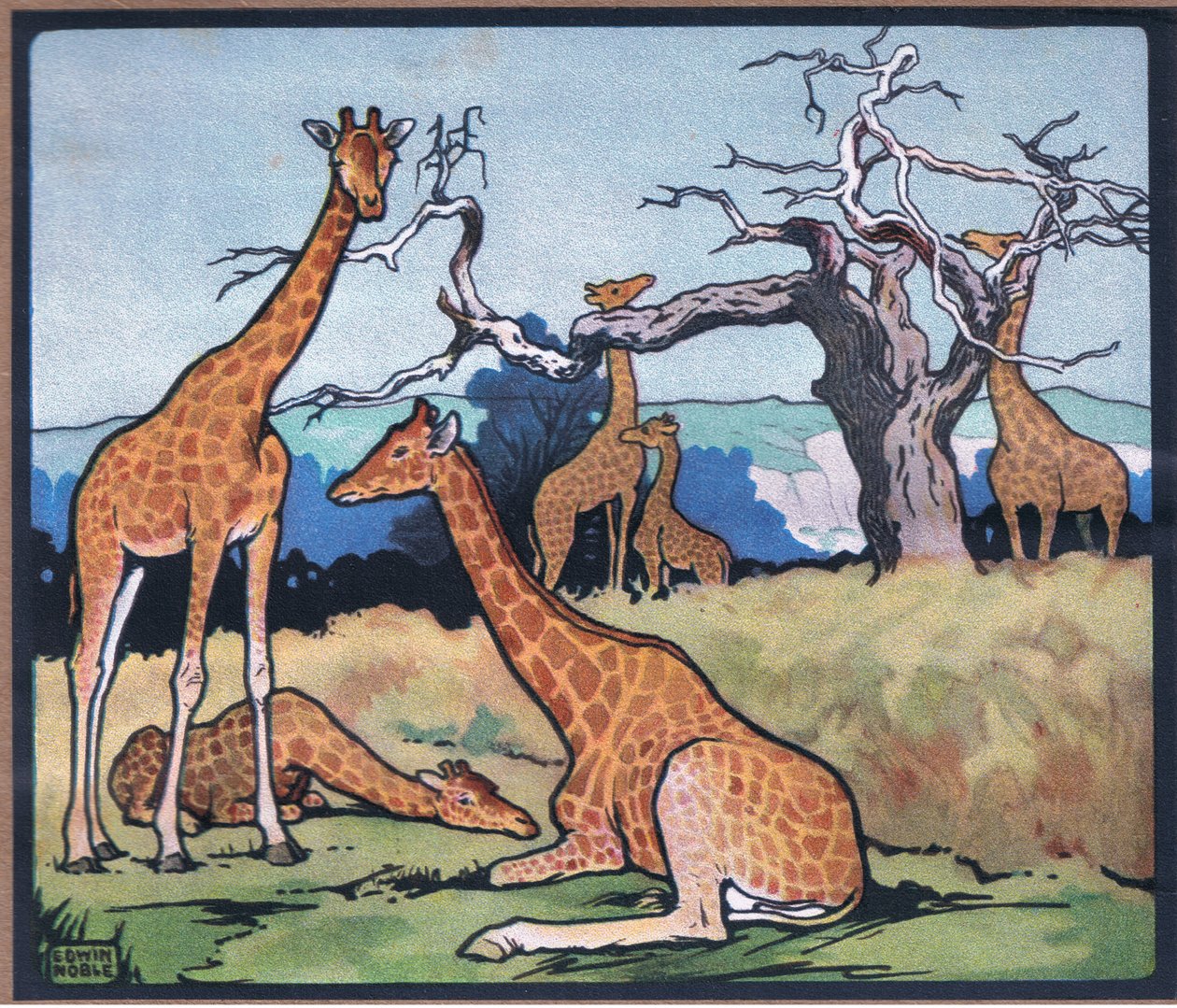 Giraffe door John Edwin Noble