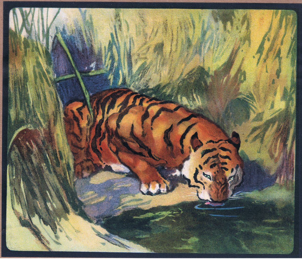 Tijger door John Edwin Noble