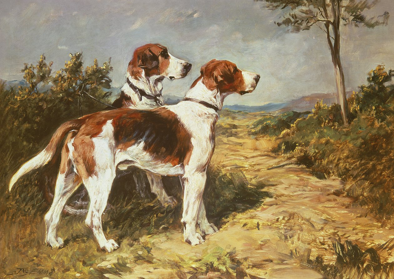Twee honden in een landschap door John Emms