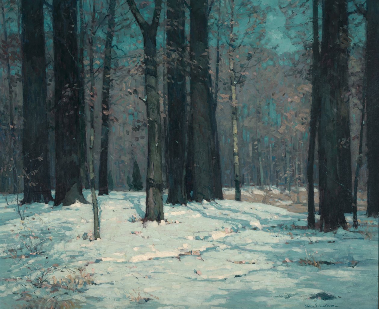 Bos in de winter door John F. Carlson