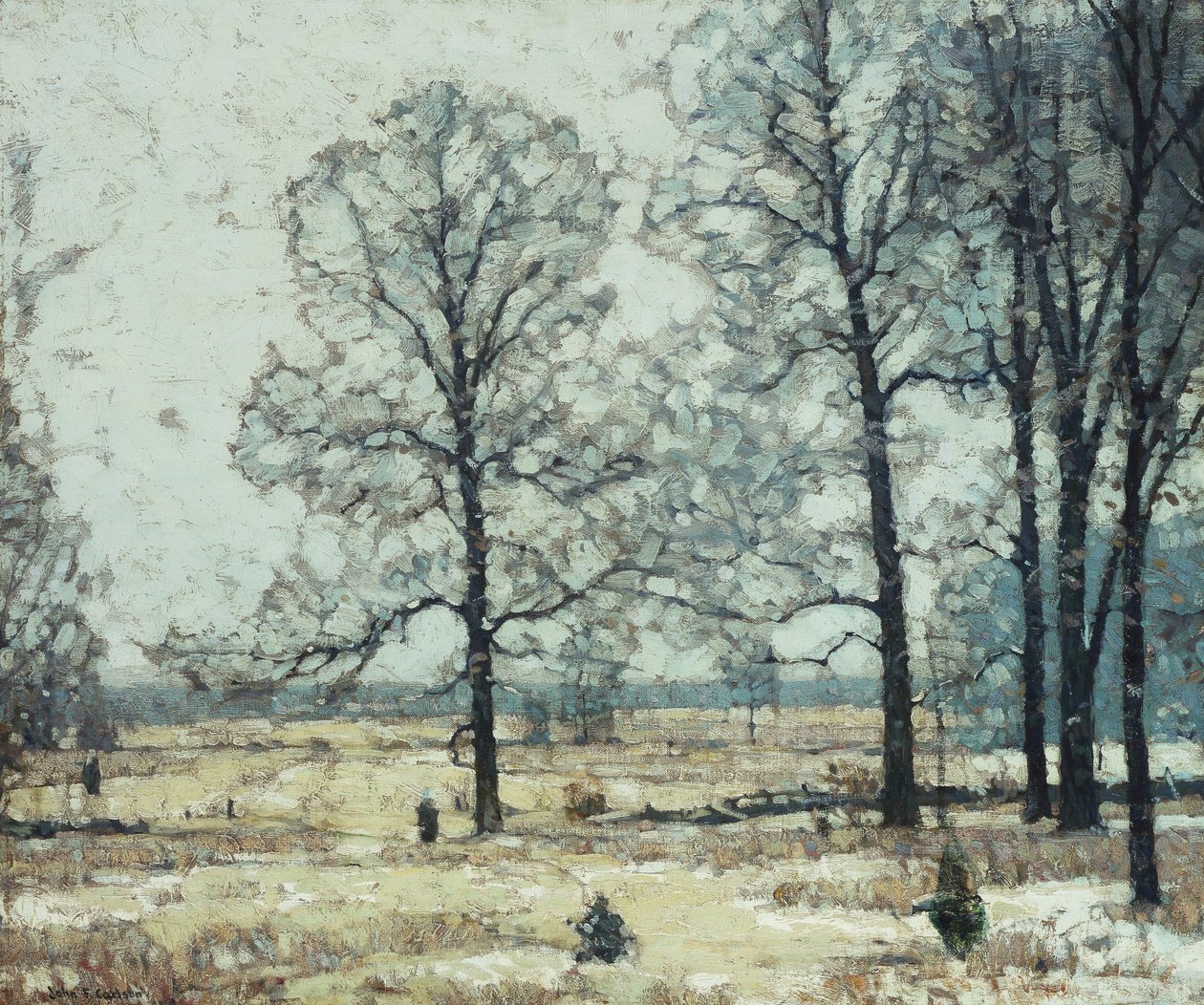 Winter Hickories door John Fabian Carlson