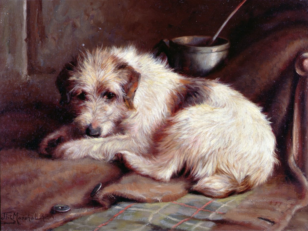 Wachten op de meester door John Fitz Marshall