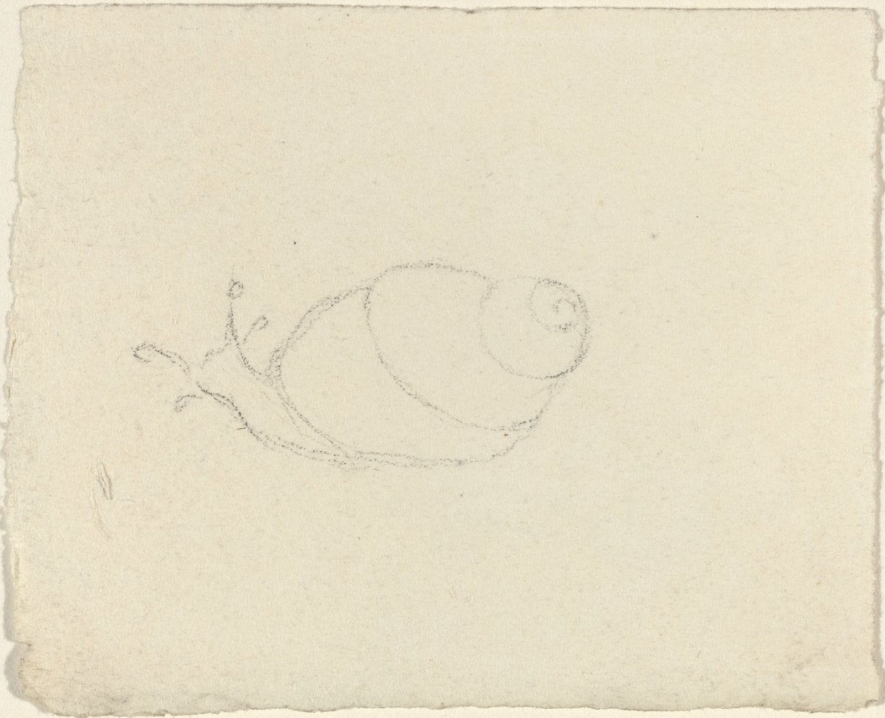Slakken door John Flaxman