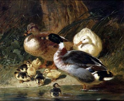 Eenden en eendjes door John Frederick Herring Senior