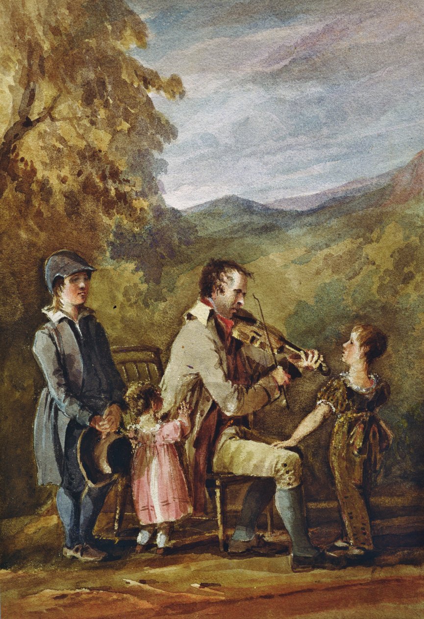 Blinde violist door John Harden