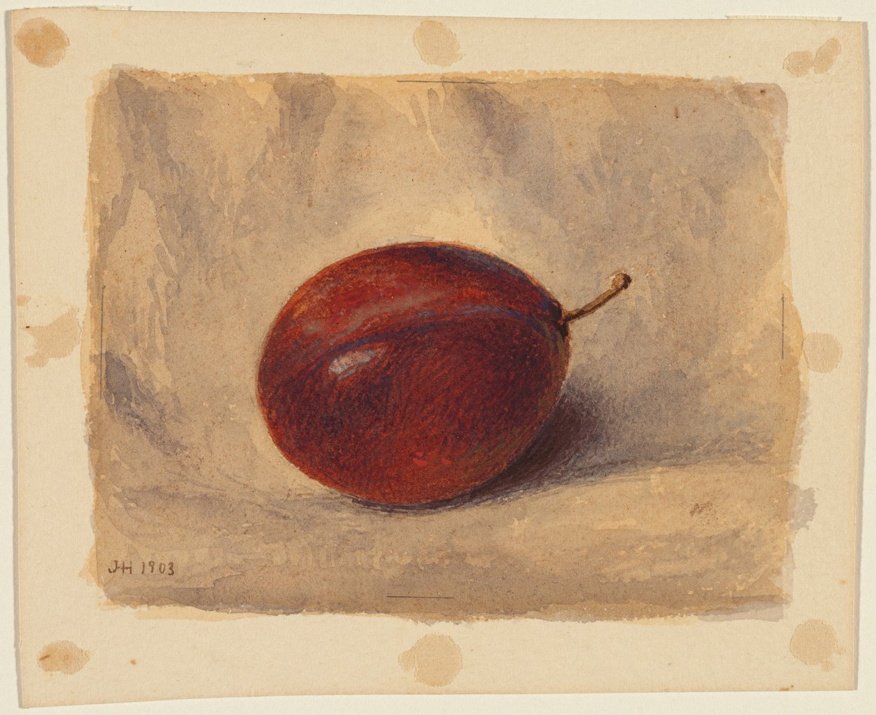 Pruim door John Henry Hill