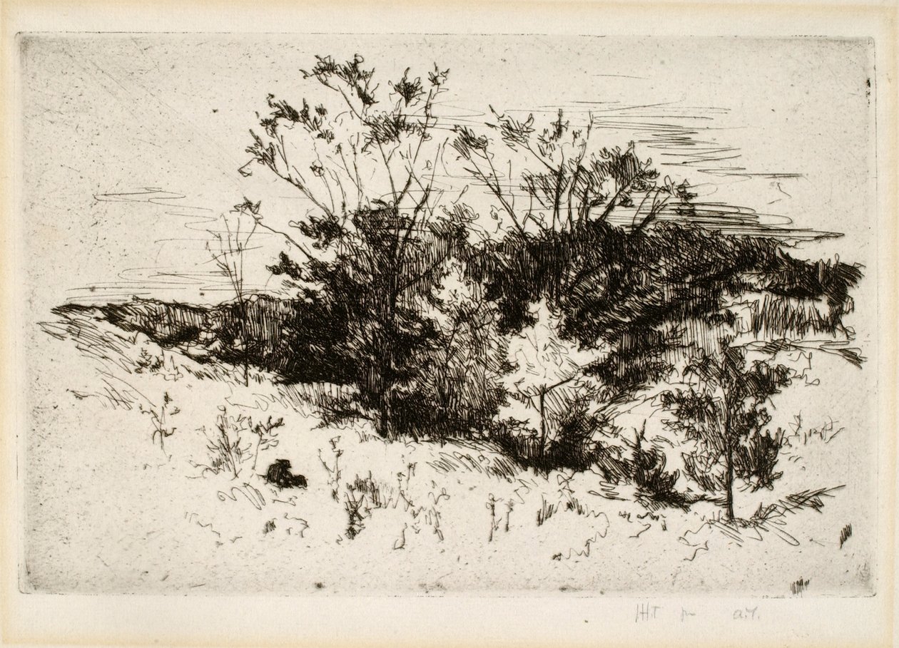 Landschap in de buurt van Cincinnati door John Henry Twachtman