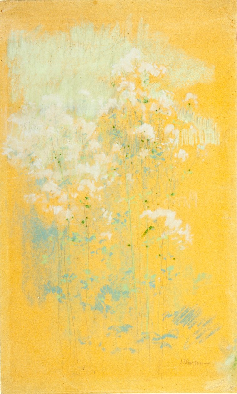 Wilde bloemen door John Henry Twachtman