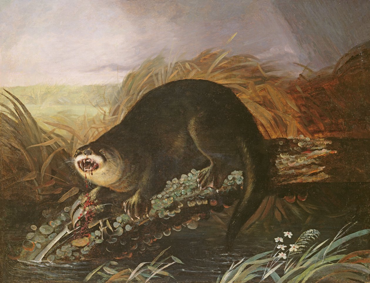 Otter gevangen in een val door John James Audubon