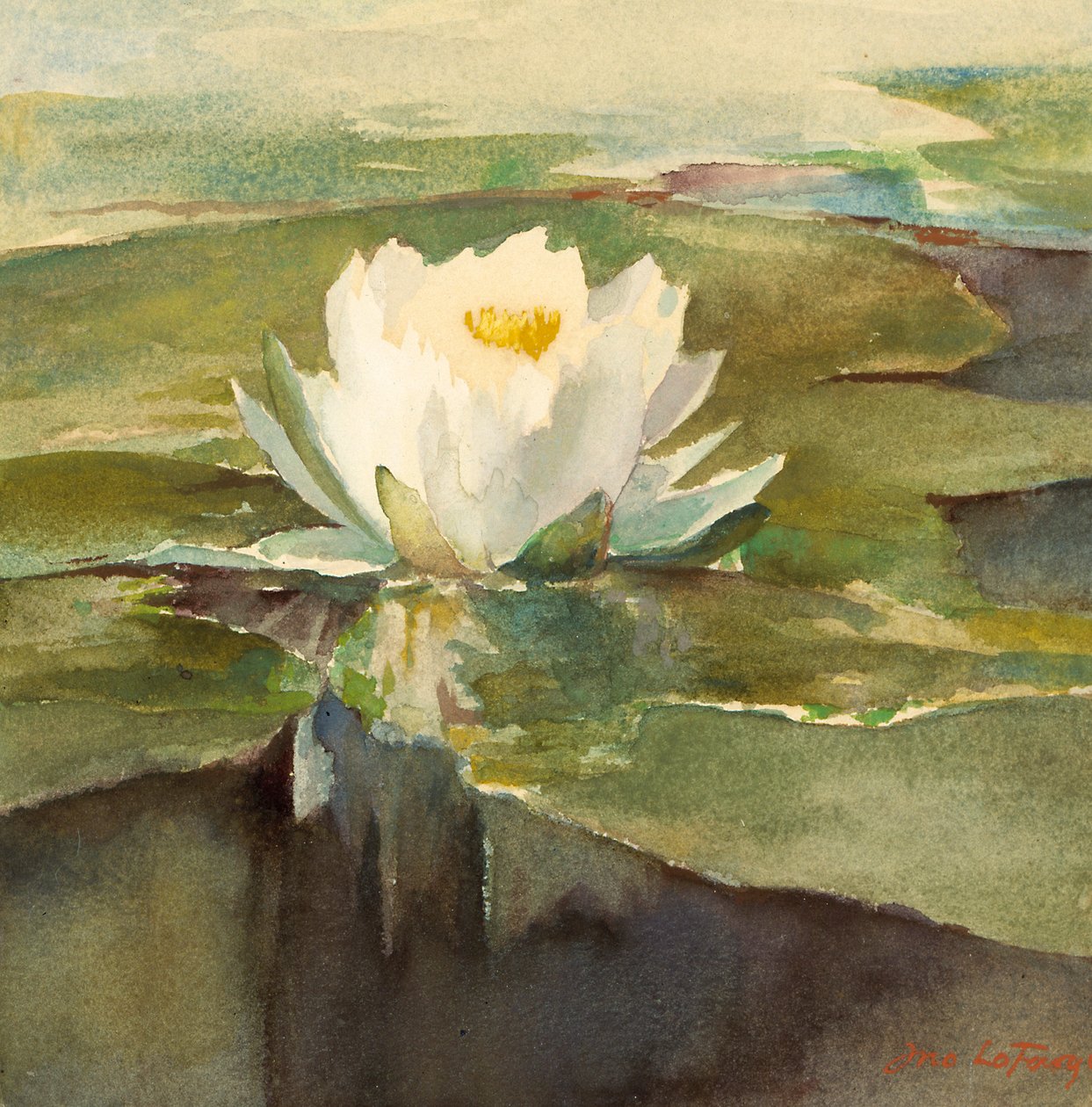 Waterlelie in zonlicht, ca. 1883 door John La Farge