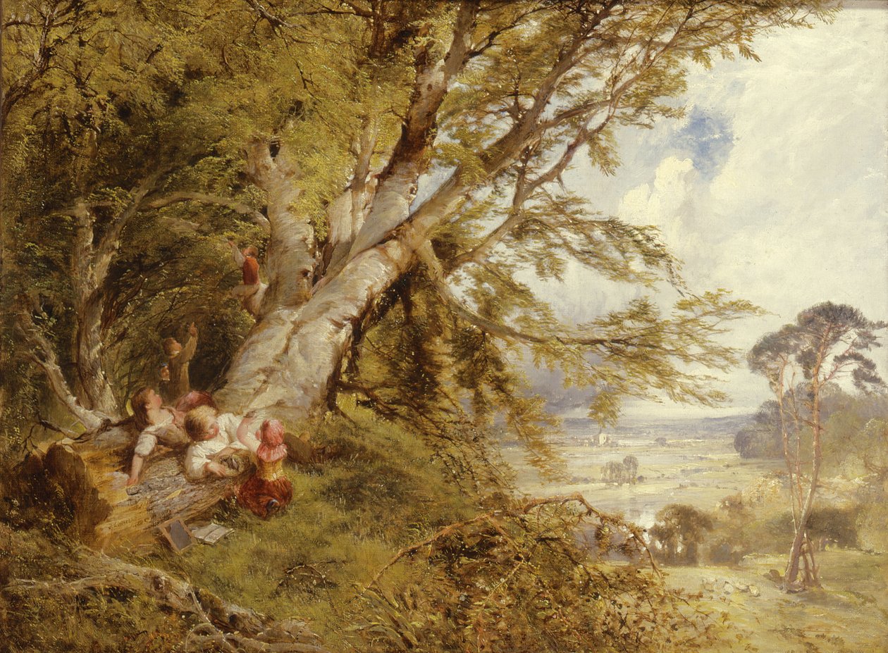 Het Vogelnest door John Linnell