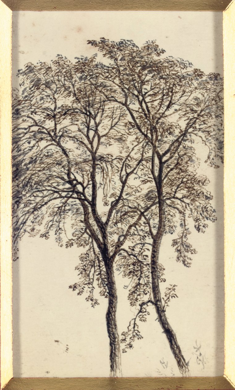 Studie van bomen door John MacWhirter