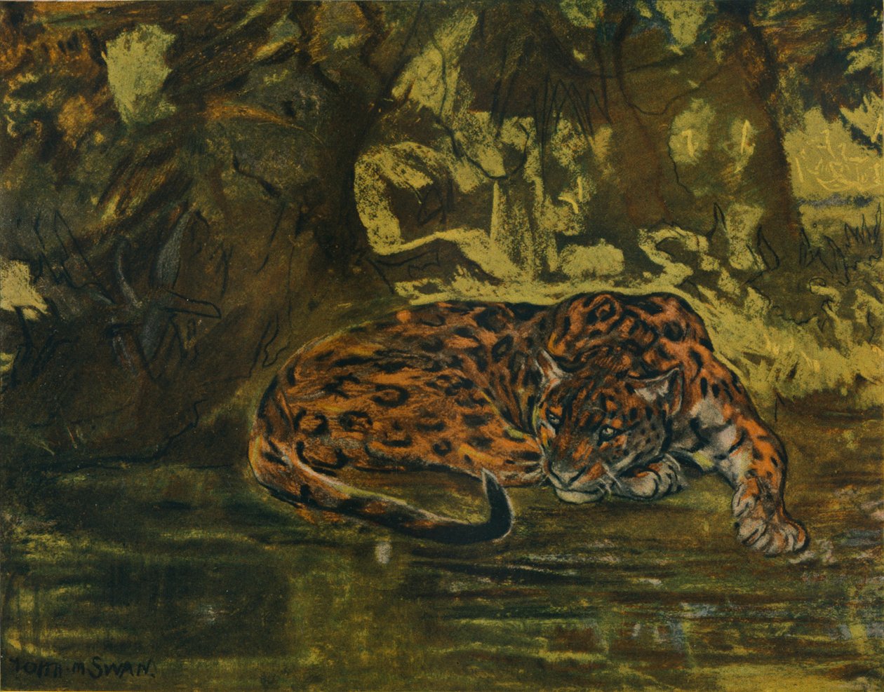 Een jaguar, ca. 1900 door John Macallan Swan