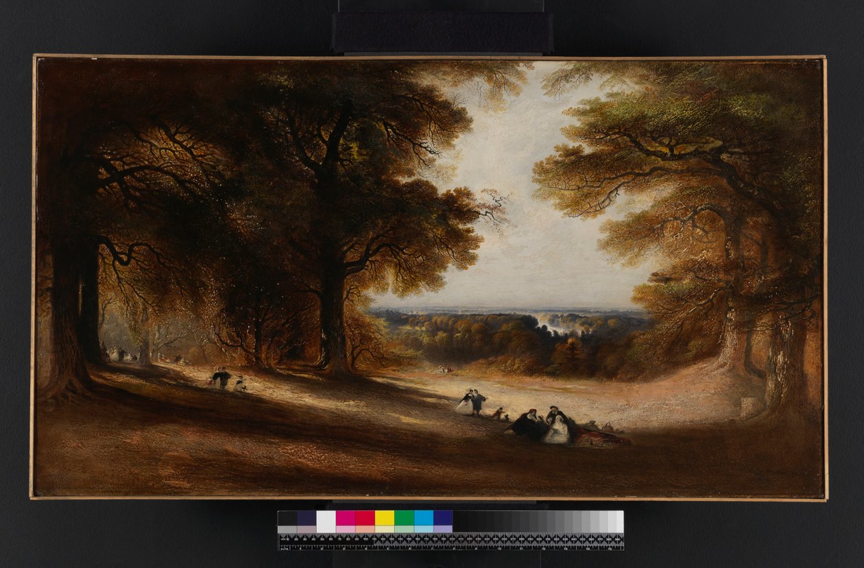 Landschap: Uitzicht in Richmond Park, 1850 door John Martin